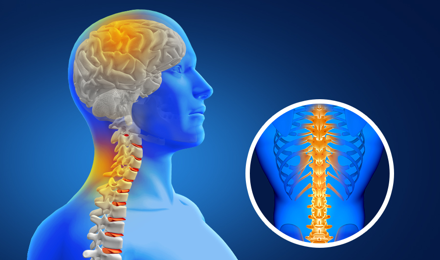 What Does Neuro and Spine Treatment Mean for You?
