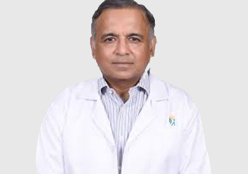 Dr Ramani Narasimhan